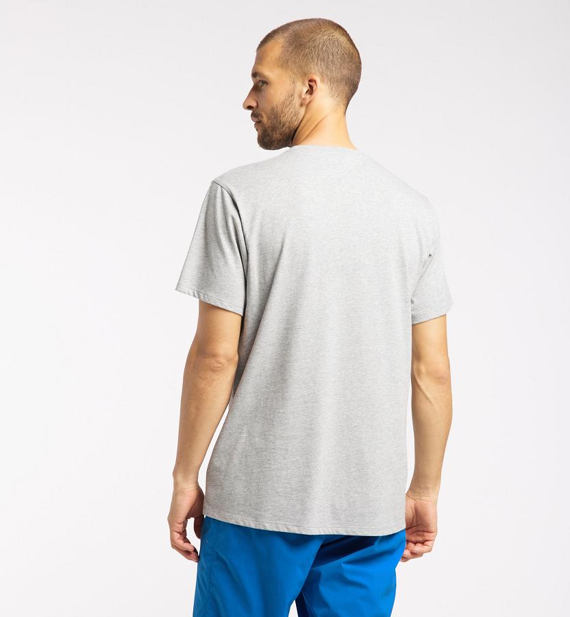 Haglöfs Mens Mirth T-Shirt Grey New Zealand 73920WBIU